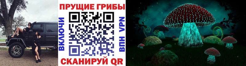 Псилоцибиновые грибы GOLDEN TEACHER  даркнет сайт  Шумерля 