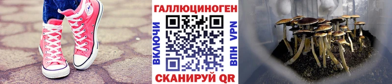 Галлюциногенные грибы прущие грибы Шумерля